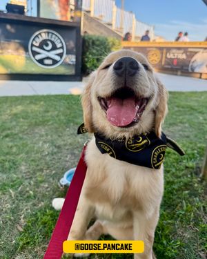 Image post by @charlestonbattery on Instagram