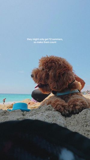 Video post by @tedflixnchill on TikTok
