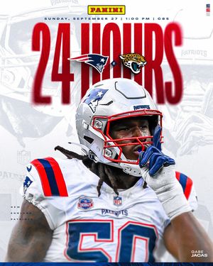 Image post by @patriots on Instagram