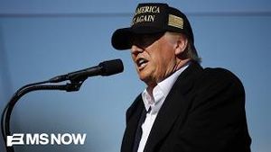 Video post by @msnbc on YouTube