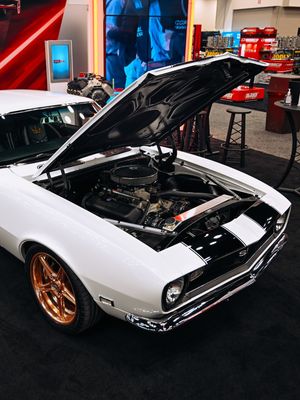 Image post by @myprishow on Instagram