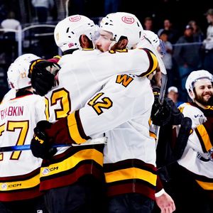 Image post by @Chicago_Wolves on Twitter