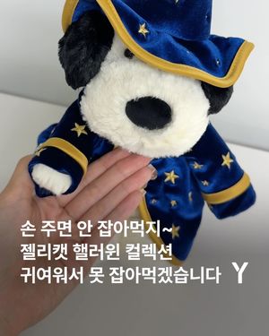 Image post by @ymagazine_official on Instagram