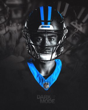 Image post by @panthers on Instagram