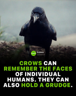 Image post by @science on Instagram