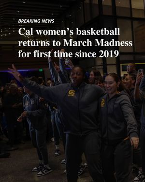 Image post by @dailycal on Instagram