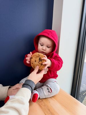 Image post by @sugarmapleswv on Instagram