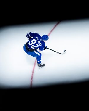 Image post by @theahl on Instagram