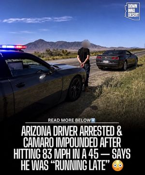Image post by @downinnadesert on Instagram