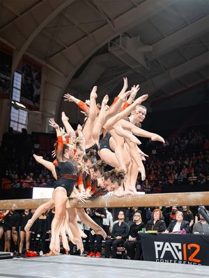 Image post by @beavergym on Instagram