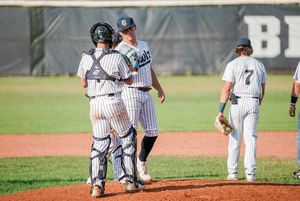 Image post by @OwlzNoCo on Twitter