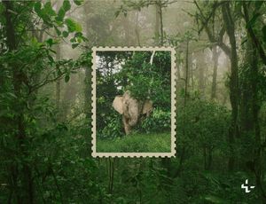 Image post by @unsplash on Instagram