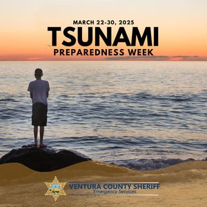 Image post by @vcsheriff on Instagram