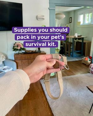 Image post by @americanredcross on Instagram