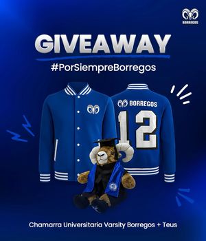 Image post by @borregostec on Instagram