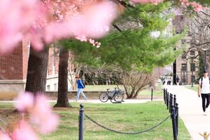 Image post by @onwardstate on Instagram