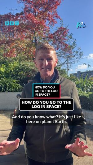 Video post by @cbbc on TikTok