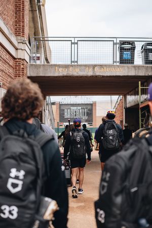 Image post by @sfa_baseball on Instagram