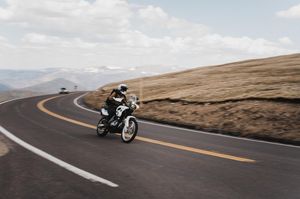 Image post by @lostfoxcreative on Instagram