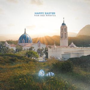 Image post by @usdtoreros on Instagram