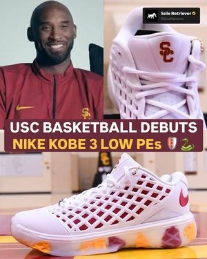 Image post by @soleretriever on Instagram