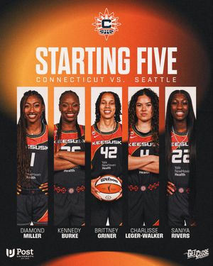 Image post by @ConnecticutSun on Twitter