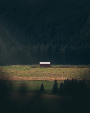 Image post by @zachdittberner on Instagram