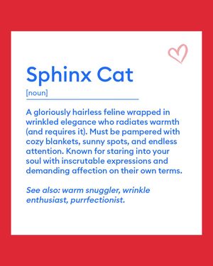 Image post by @petsmart on Instagram