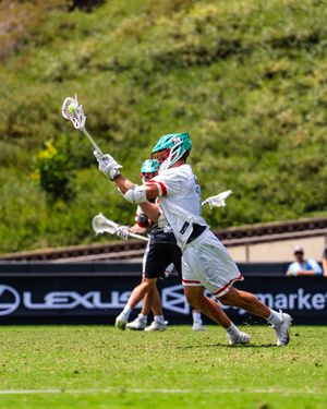 Image post by @PLLWhipsnakes on Twitter
