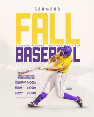 Image post by @LSUbaseball on Twitter