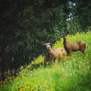 Image post by @skitaos on Instagram