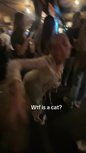 Video post by @risshud222 on TikTok