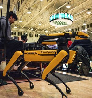 Image post by @dartmouthwbb on Instagram