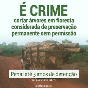 Image post by @operitoambiental on Instagram