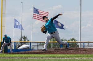 Image post by @wlavendier on Instagram