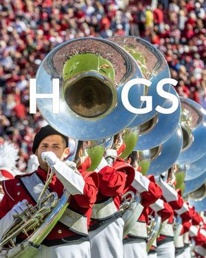 Image post by @uarkansas on Instagram