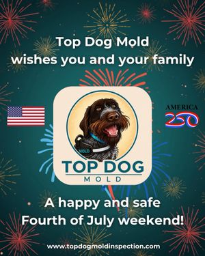 Image post by @topdogmold on Instagram
