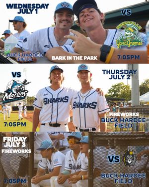 Image post by @ilmsharks on Instagram