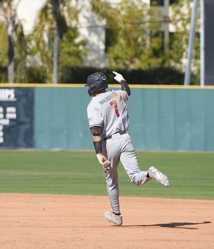 Image post by @gonubaseball on Instagram