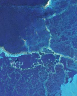 Image post by @planetlabs on Instagram