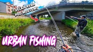 Video post by @jonasederfishing on YouTube