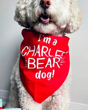 Image post by @charlee_bear_dogtreats on Instagram