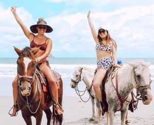 Image post by @alabamaadpi on Instagram