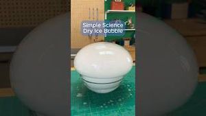 Video post by @kiwico on YouTube