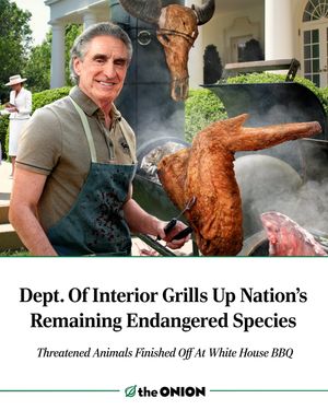 Image post by @theonion on Instagram