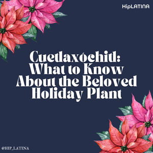 Image post by @hip_latina on Instagram