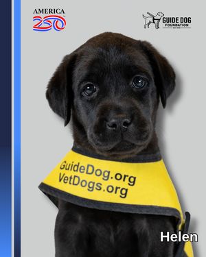 Image post by @guidedogfoundation on Instagram