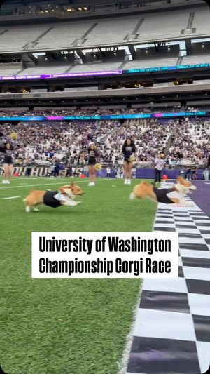 Video post by @littlestumpsracing1 on Facebook
