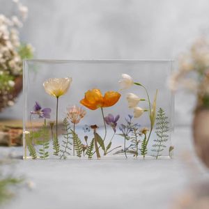 Image post by @leafyaffair on Instagram
