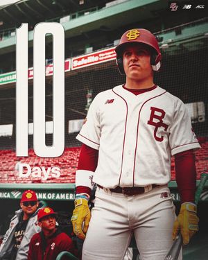 Image post by @bcbirdball on Instagram